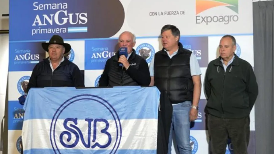 Desde el lunes y hasta el viernes 26, en el Centro de Exposiciones y Remates Angus de Cañuelas, se desarrollará la Semana Angus de Primavera con la fuerza de Expoagro.  