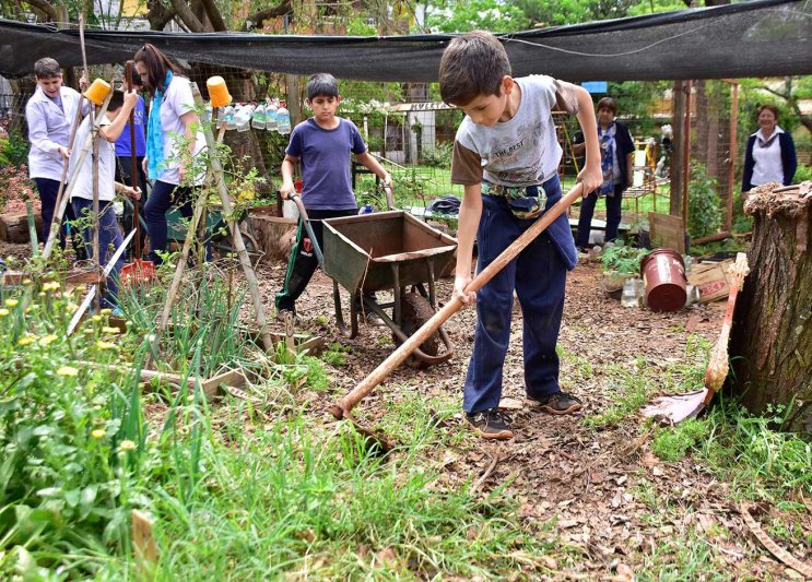 Jardines comestibles: un desafío para las familias argentinas