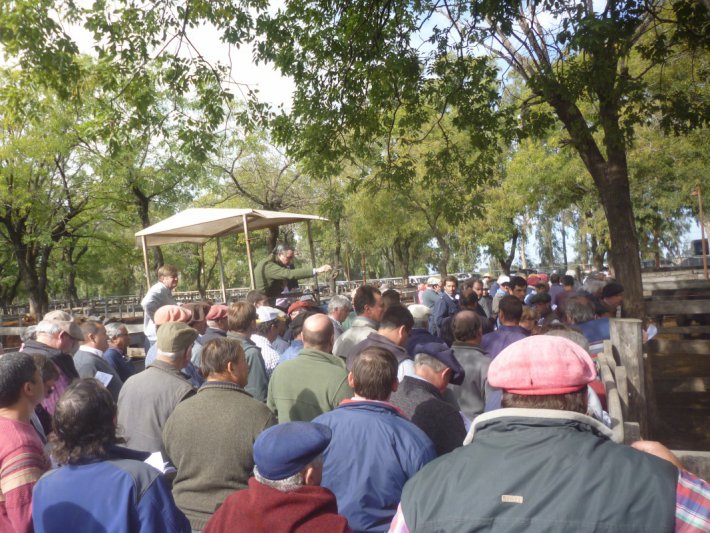 Grandes encierres y números firmes 