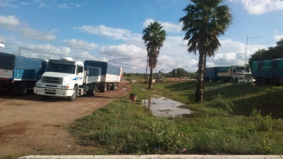 Las lluvias detuvieron la cosecha