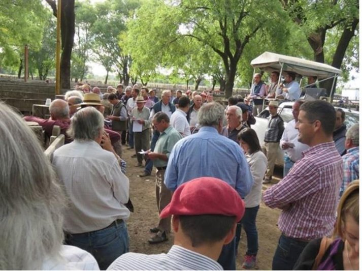 Más de 3000 cabezas en un remate de Néstor I. Goenaga