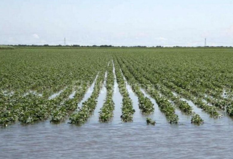 Las inundaciones en el Chaco  van hacia el norte de Santa Fe