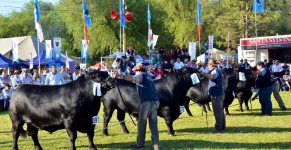 Angus consagró sus Terneros Campeones de otoño