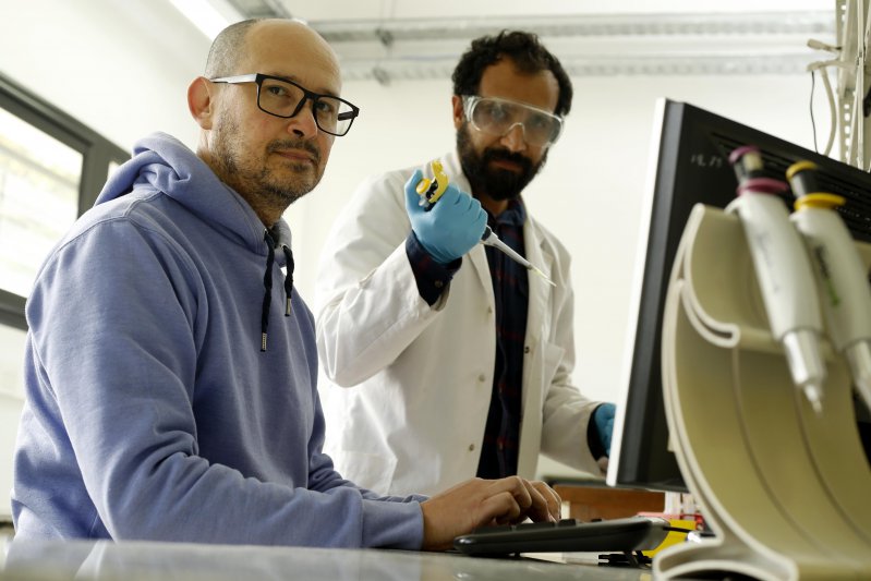 Detectan nuevos antígenos para un diagnóstico más preciso de la toxoplasmosis