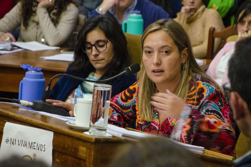 COVIR: las intervenciones de Vena, Ficca, Sotille y Vera