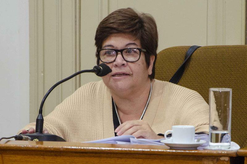 COVIR: las intervenciones de Vena, Ficca, Sotille y Vera