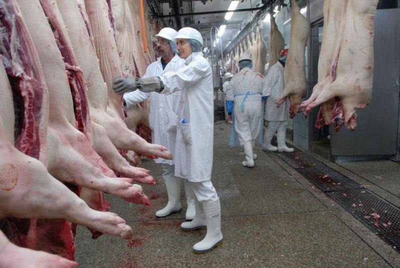 La peste porcina en China provocó subas  del 40% en el precio de la carne de cerdo