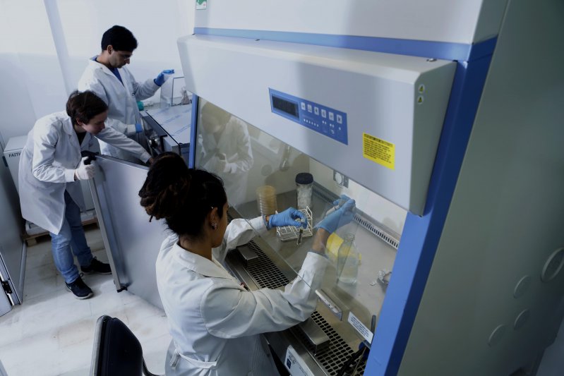 Prótesis: desarrollan método para evitar infecciones y rechazos