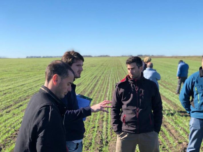 "Agroecología extensiva,  aspectos económicas y  productivos", en Agronomía 