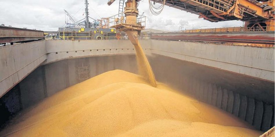 El trigo argentino trata de ubicarse en  el tercer puesto entre los exportadores
