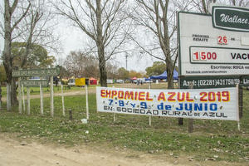 Se inicia hoy la   Expomiel  2019