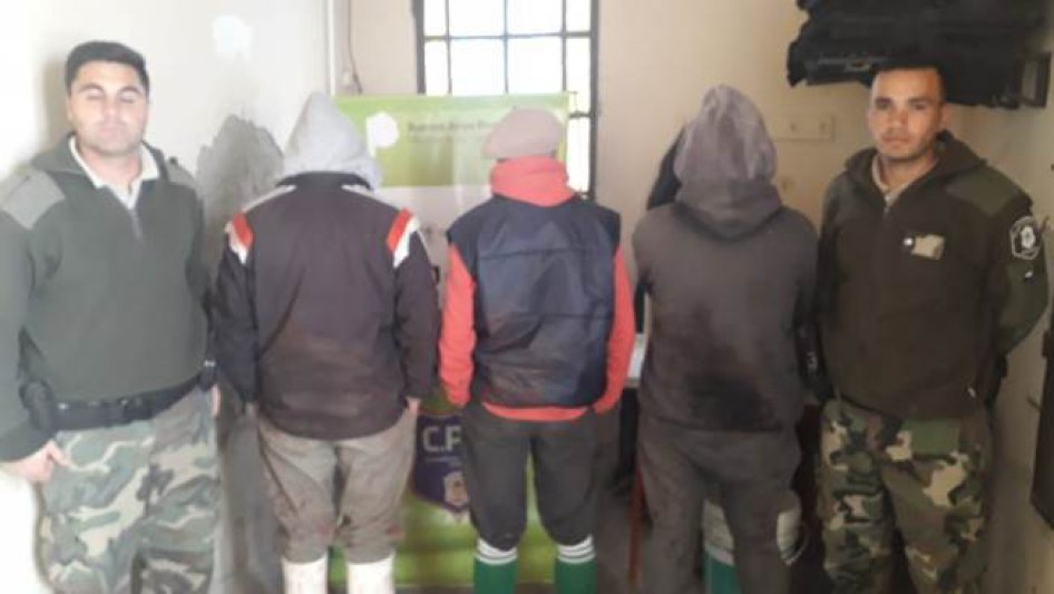 Detenidos por infracción a la ley de caza 