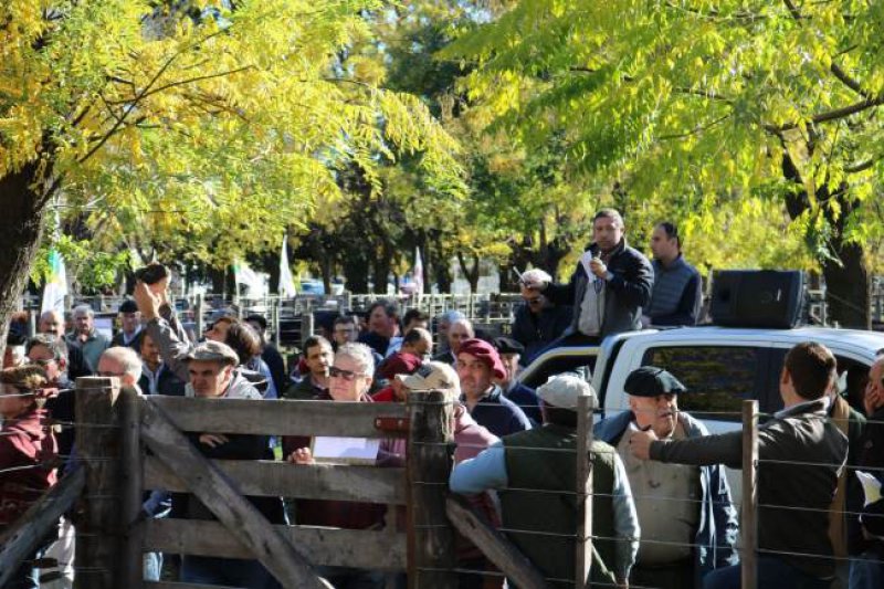 Se venden los toros y se afirman los terneros