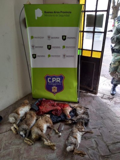 Cazadores arrestados e infraccionados 