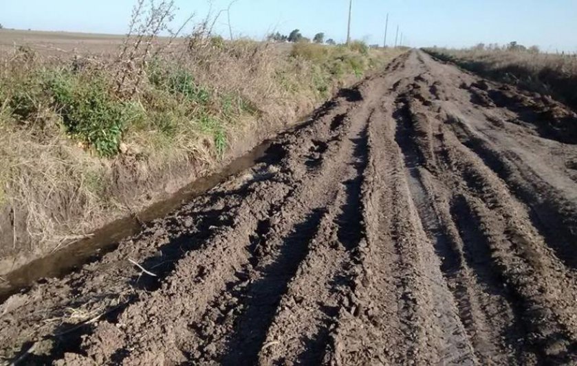 "El mal estado de los caminos rurales es  responsabilidad directa de los intendentes"