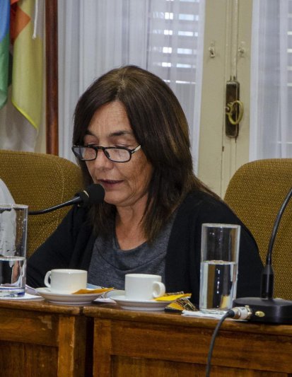 Con las legislaturas provincial y nacional "en receso", el deliberativo azuleño sigue "activo" 