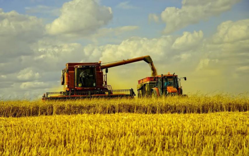 La economía creció 2,6%, impulsada por el agro, según Indec