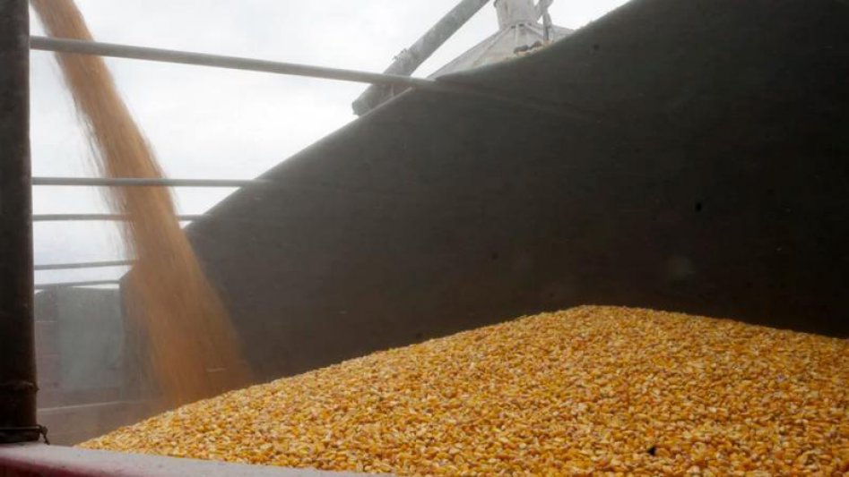 Según AFIP, 54% de la producción de granos se beneficia de no anticipar impuestos
