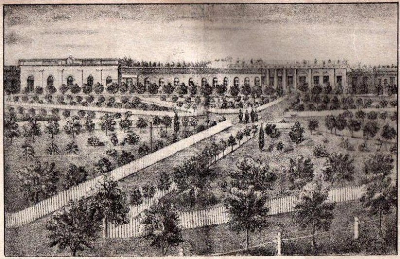 La "Revolución del Parque" y de la Plaza