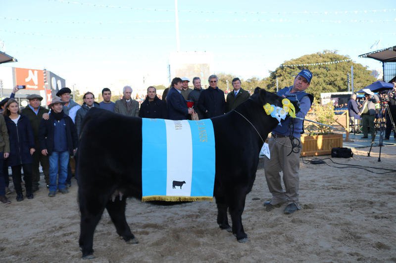 Campeones y azuleños en el podio