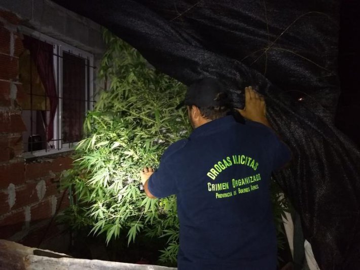 Seguirá preso un joven procesado  por una infracción a la Ley 23.737