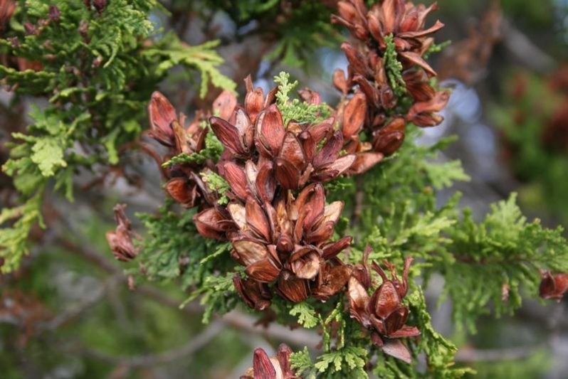 Hoy: Río Negro y Tierra del Fuego