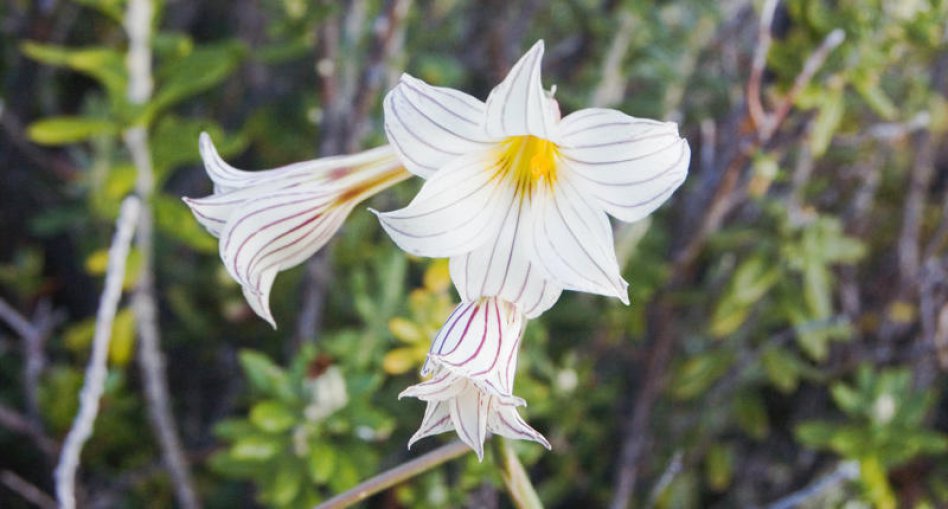 Hoy: Río Negro y Tierra del Fuego