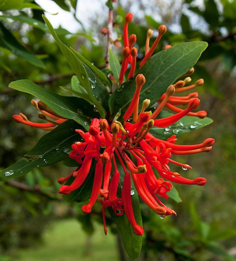 Hoy: Río Negro y Tierra del Fuego