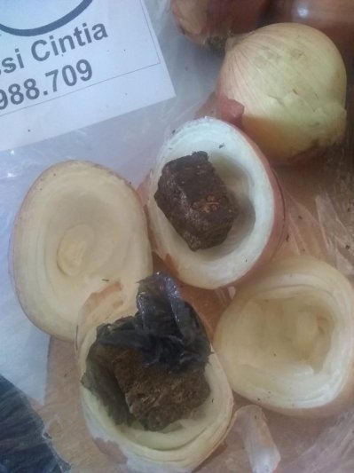 Cebollas que tenían marihuana