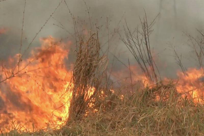 El verdadero desafío es recuperar el  Amazonas, no sólo apagar el fuego
