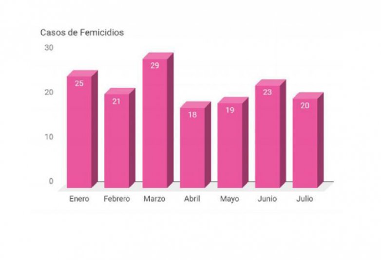 En lo que va de 2019, ya se registraron 155 femicidios en Argentina