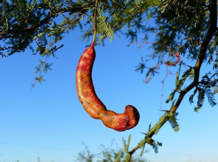 Hoy: Provincia de La Pampa 