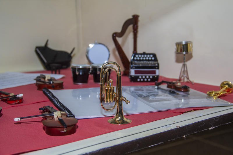 "Voy a mostrarle al público lo que  se llama en la música organología"