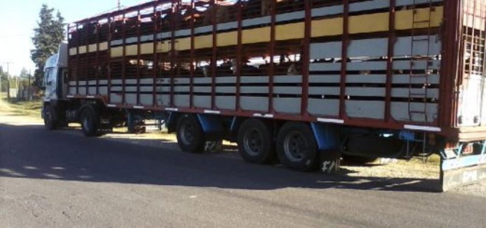 Ratifican obligatoriedad del remito electrónico