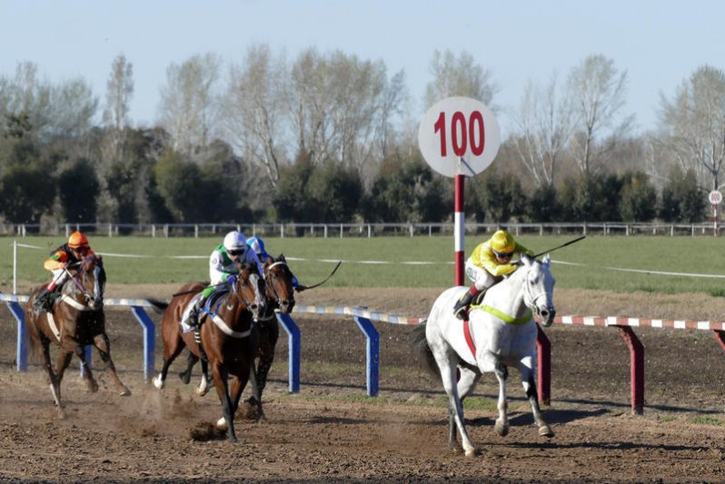 El "Príncipe del Desierto" halló carrera fértil 