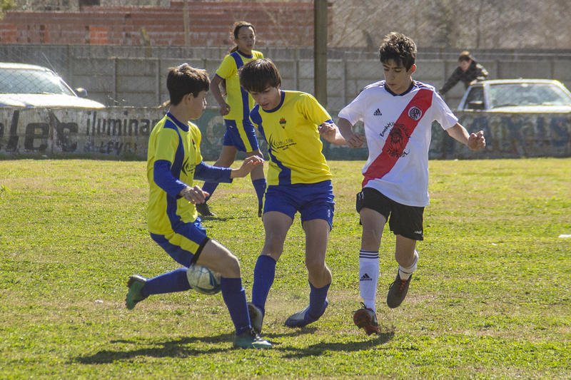 Divisiones  inferiores
