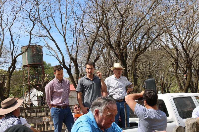 Se sostienen la invernada y los toros