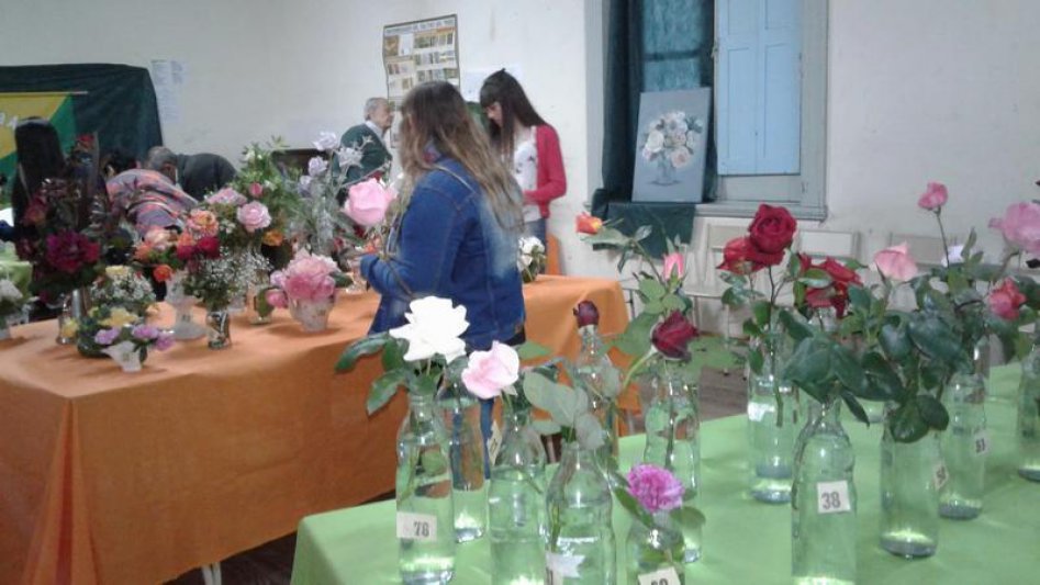 Convocatoria para participar del  concurso "Flores de Dulcinea"