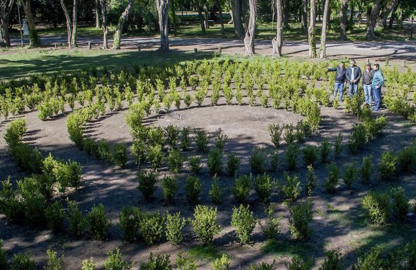 Trabajos en diferentes sectores del parque