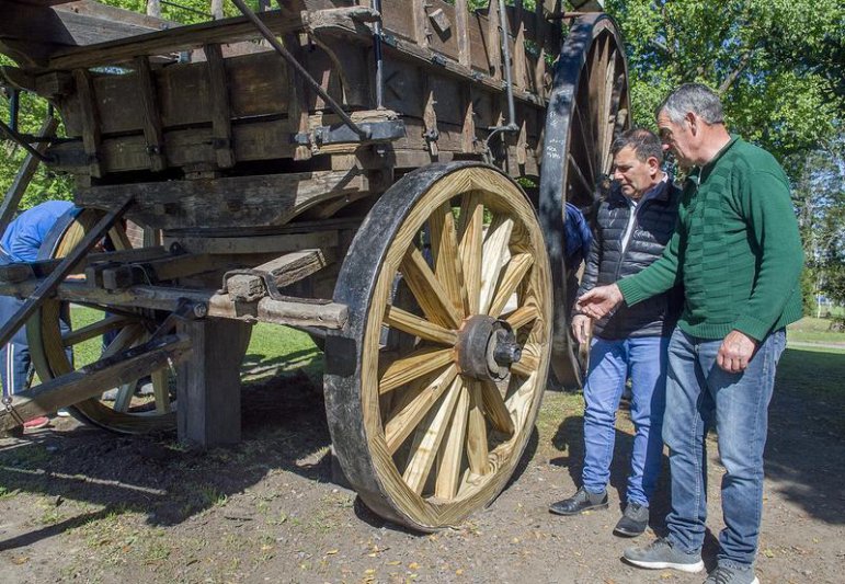 Trabajos en diferentes sectores del parque