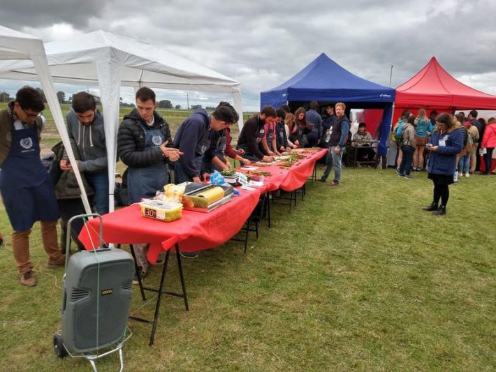 Cosechando y degustando el oro verde de las pampas