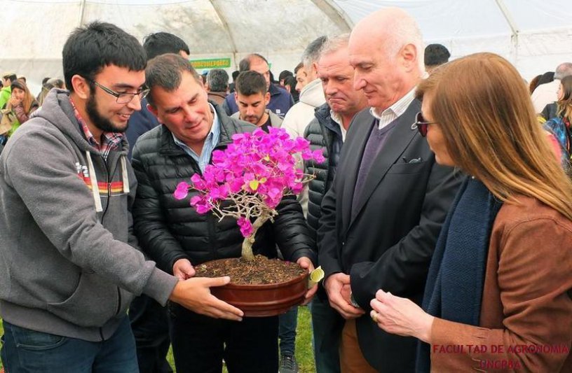 Se realizó el miércoles la  VIII Jornada de Campo