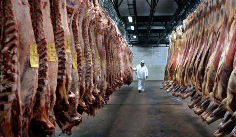 La faena de hacienda  aumentó 2,3 puntos en  los primeros 10 meses