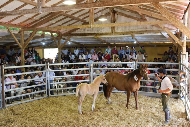 Ventas sostenidas