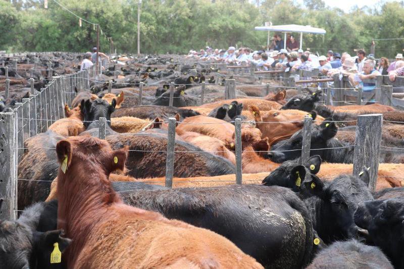 Ventas sostenidas