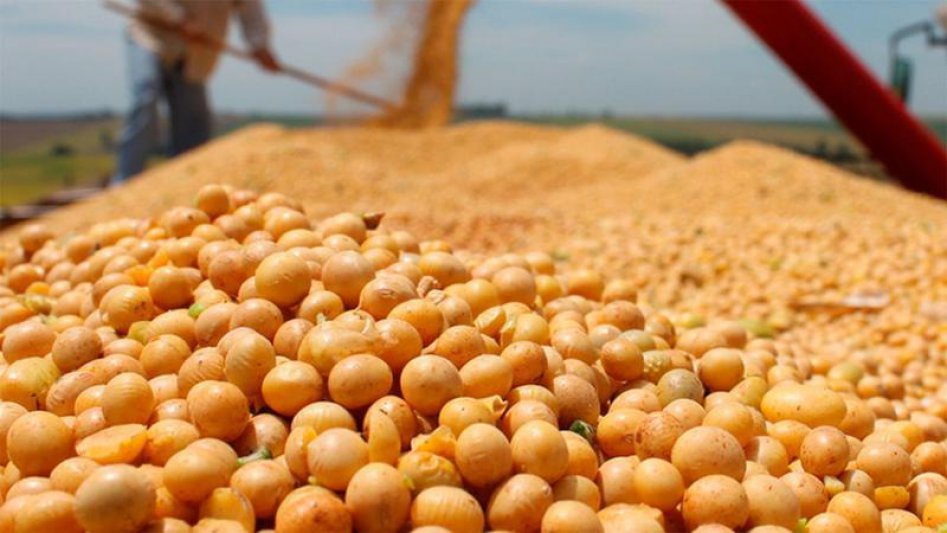 La soja sin vender alcanza los US$11.000 millones: un desaf&iacute;o para el mercado agropecuario