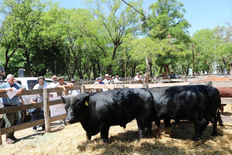 Se mantuvieron las plazas