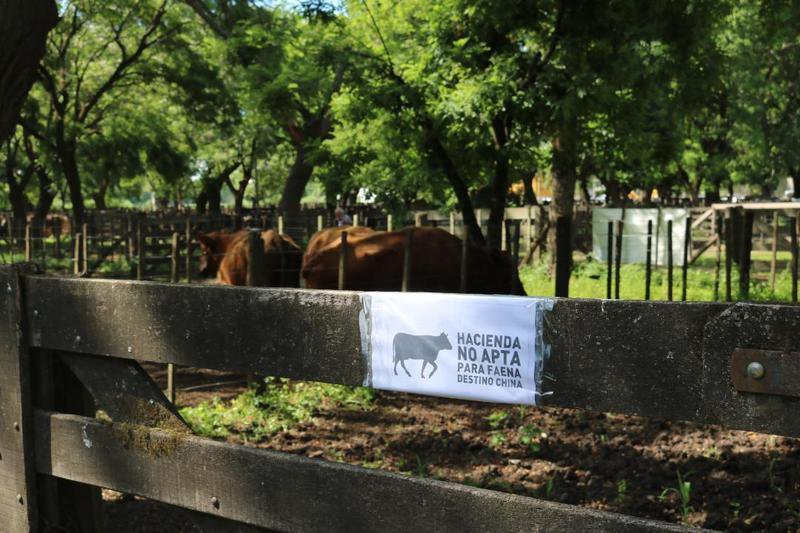 Se mantuvieron las plazas