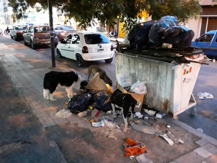 La basura del fin de semana