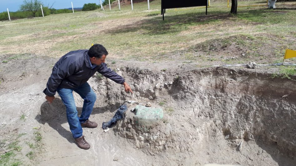 Descubren más de 50 piezas de mamíferos de más de 200.000 años